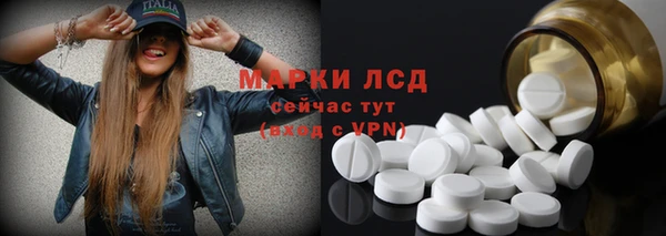 прущие грибы Алексеевка