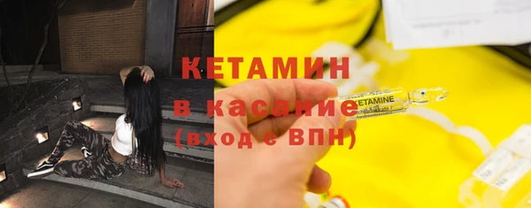 гашик Алексин