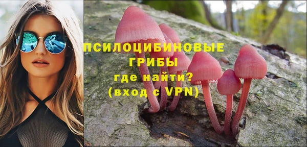 прущие грибы Алексеевка