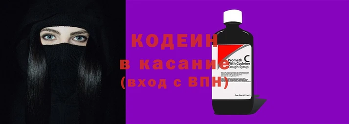 гашик Алексин