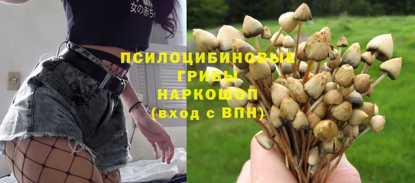 прущие грибы Алексеевка