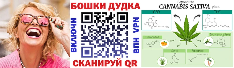 закладки Межгорье Канабис MAZAR